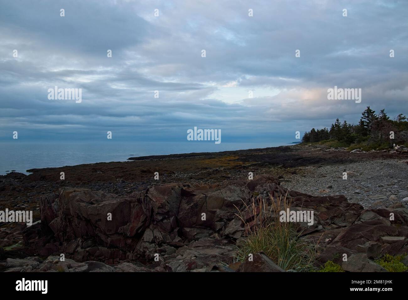La baie de Fundy sous un ciel couvert. Parkers Cove (Nouvelle-Écosse). Banque D'Images