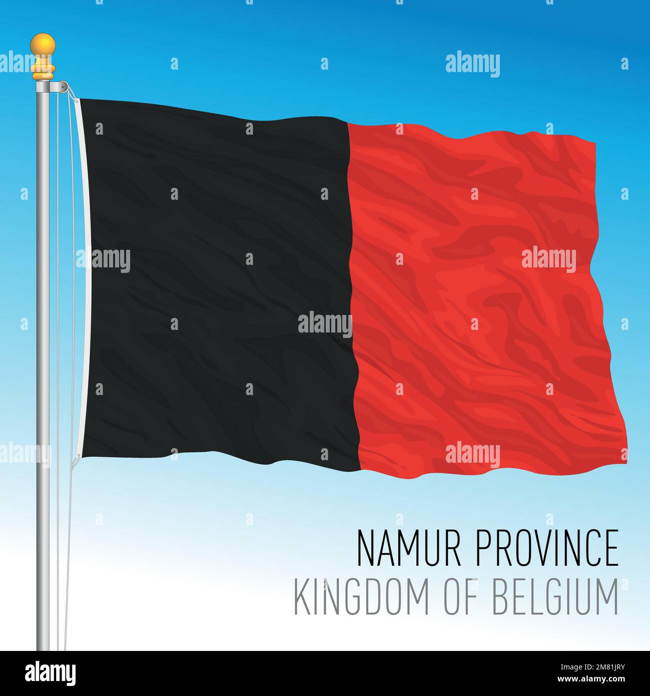Drapeau Province De Namur 150x90 Cm Polyester 100D Fourreau