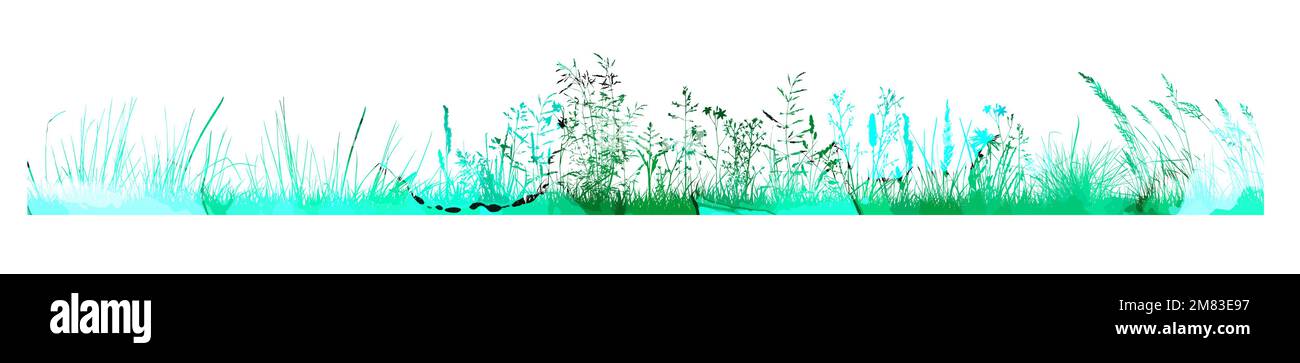 Filigrane vert vectoriel naturel, biologique, bio, label écologique et forme, herbe sur fond blanc. Longue ligne horizontale d'herbe. Taches dessinées à la main. Illustration de Vecteur