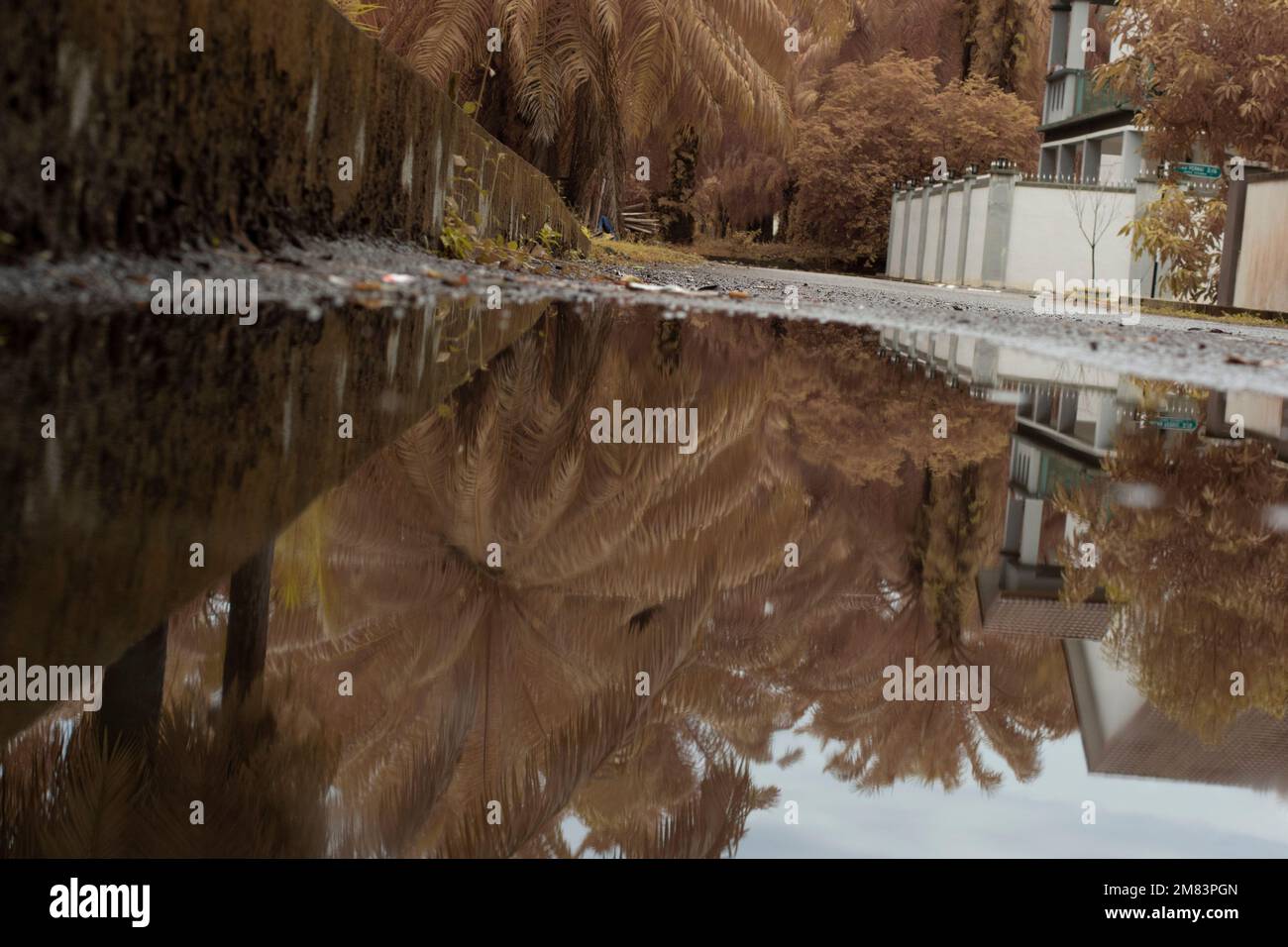 piscine d'eau stagnante après la pluie dans la rue asphaltée de la banlieue Banque D'Images