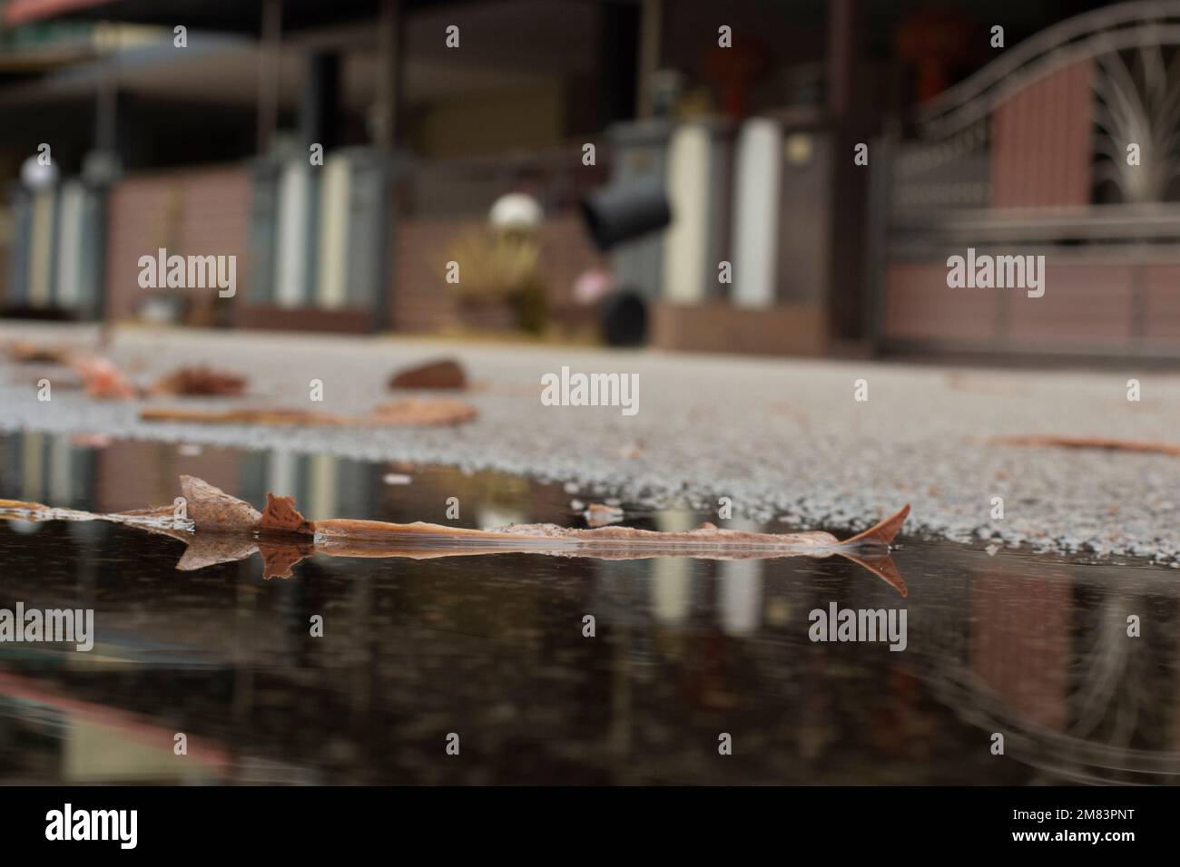 piscine d'eau stagnante après la pluie dans la rue asphaltée de la banlieue Banque D'Images