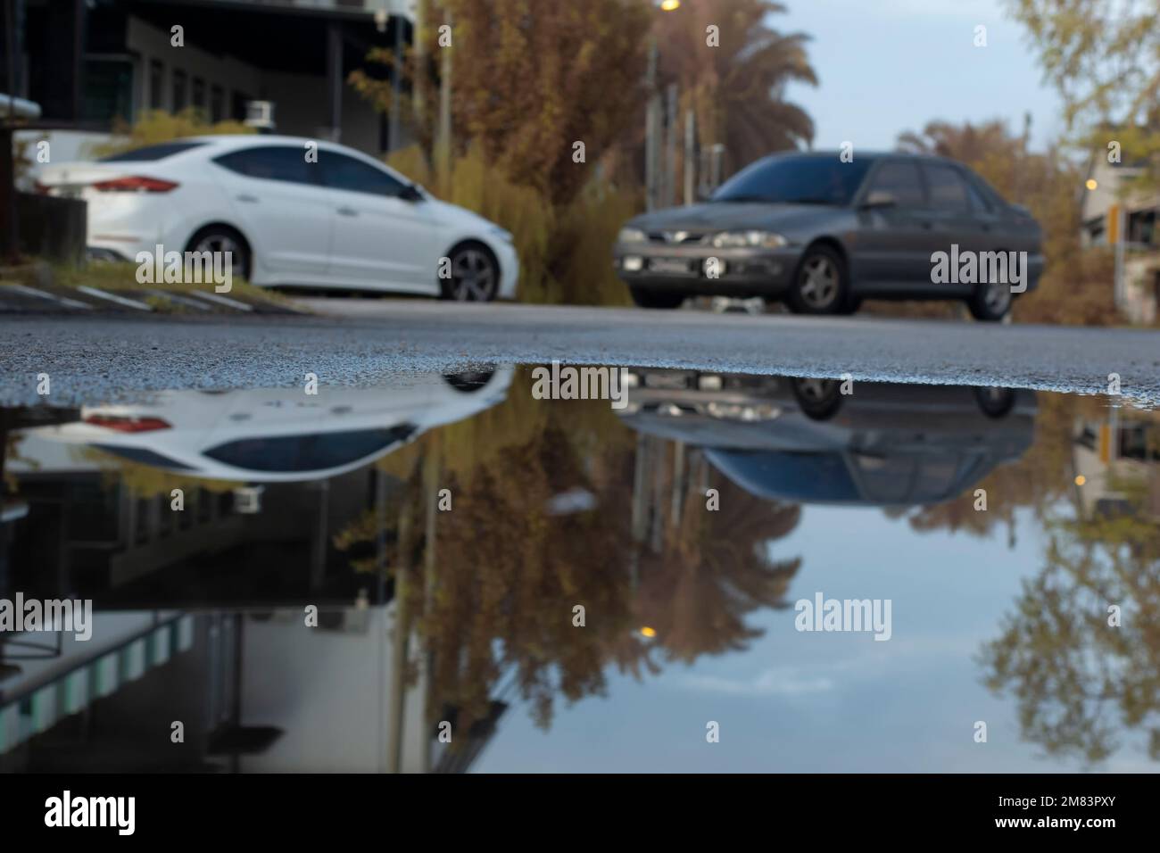 piscine d'eau stagnante après la pluie dans la rue asphaltée de la banlieue Banque D'Images