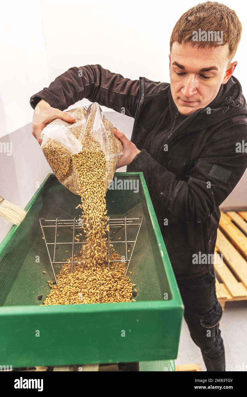 Première étape fondamentale du brassage : le broyage du grain. Marche à bière artisanale Banque D'Images