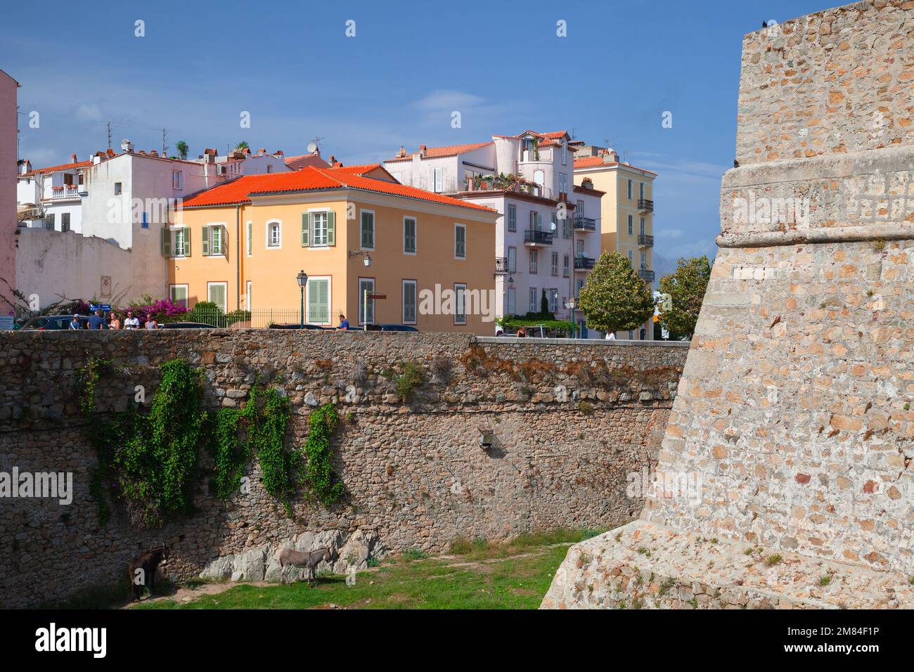 Ajaccio, France - 25 août 2018 : vue sur la vieille ville d'Ajaccio avec des ânes près du vieux mur de pierre de la Citadelle Banque D'Images