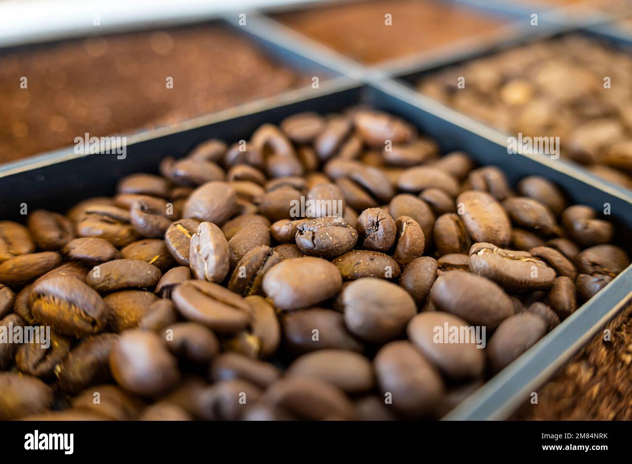 gros plan sur les grains de café. Différents types de café. Banque D'Images