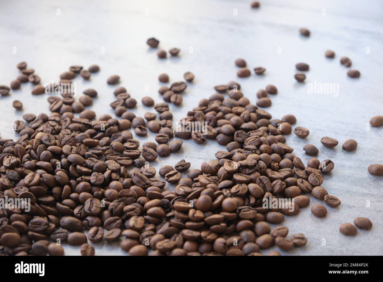 grains de café régionaux en photo macro Banque D'Images