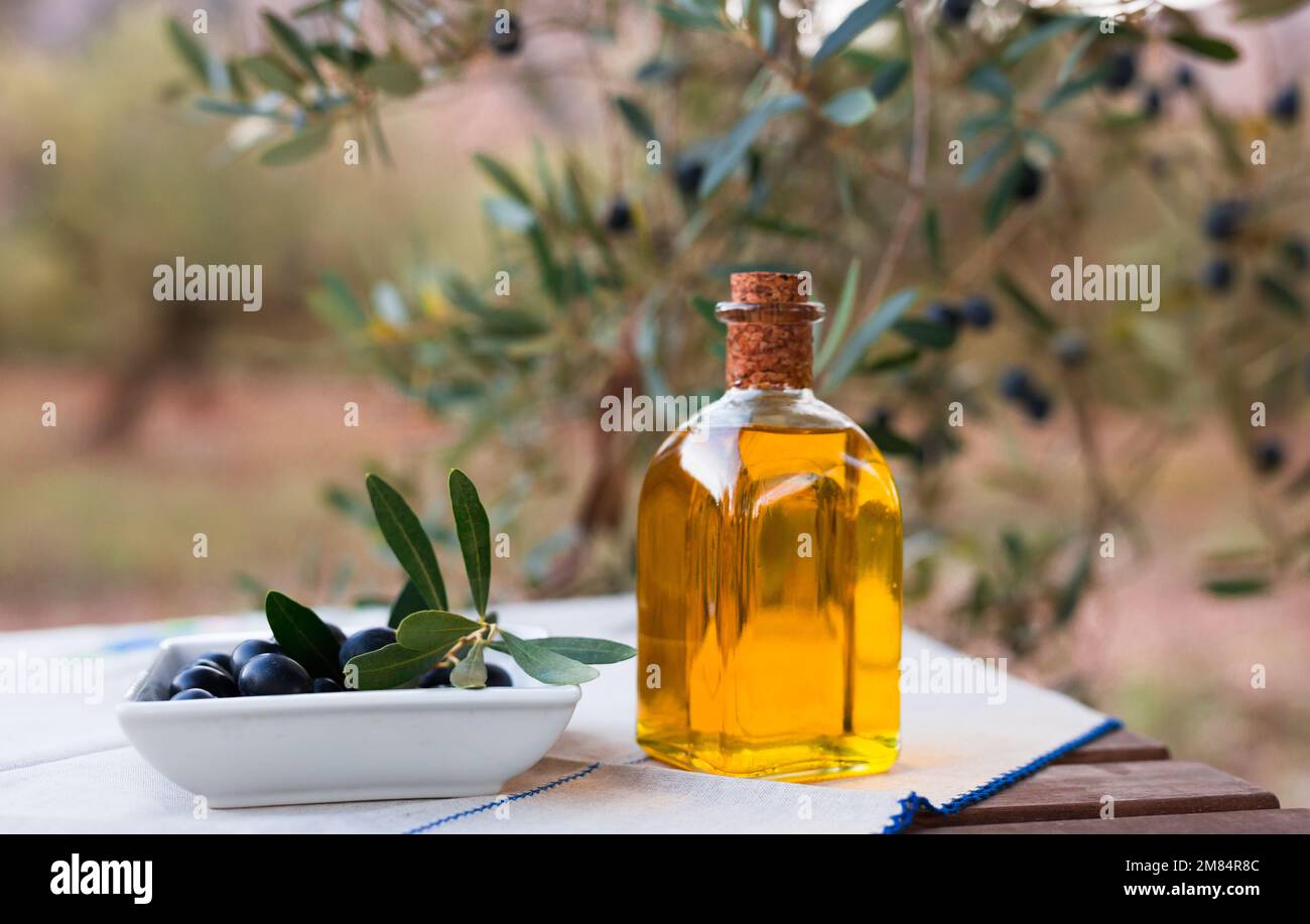 olives mûres noires, huile d'olive en verre, bouteille traditionnelle sur table dans un jardin d'oliviers Banque D'Images