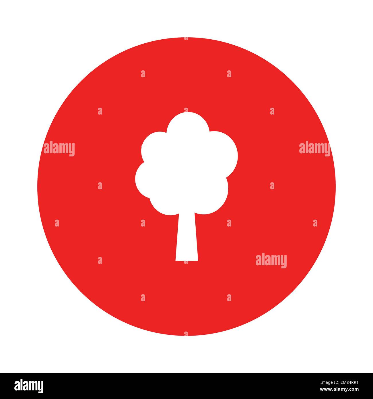 Arbre et cercle Banque D'Images