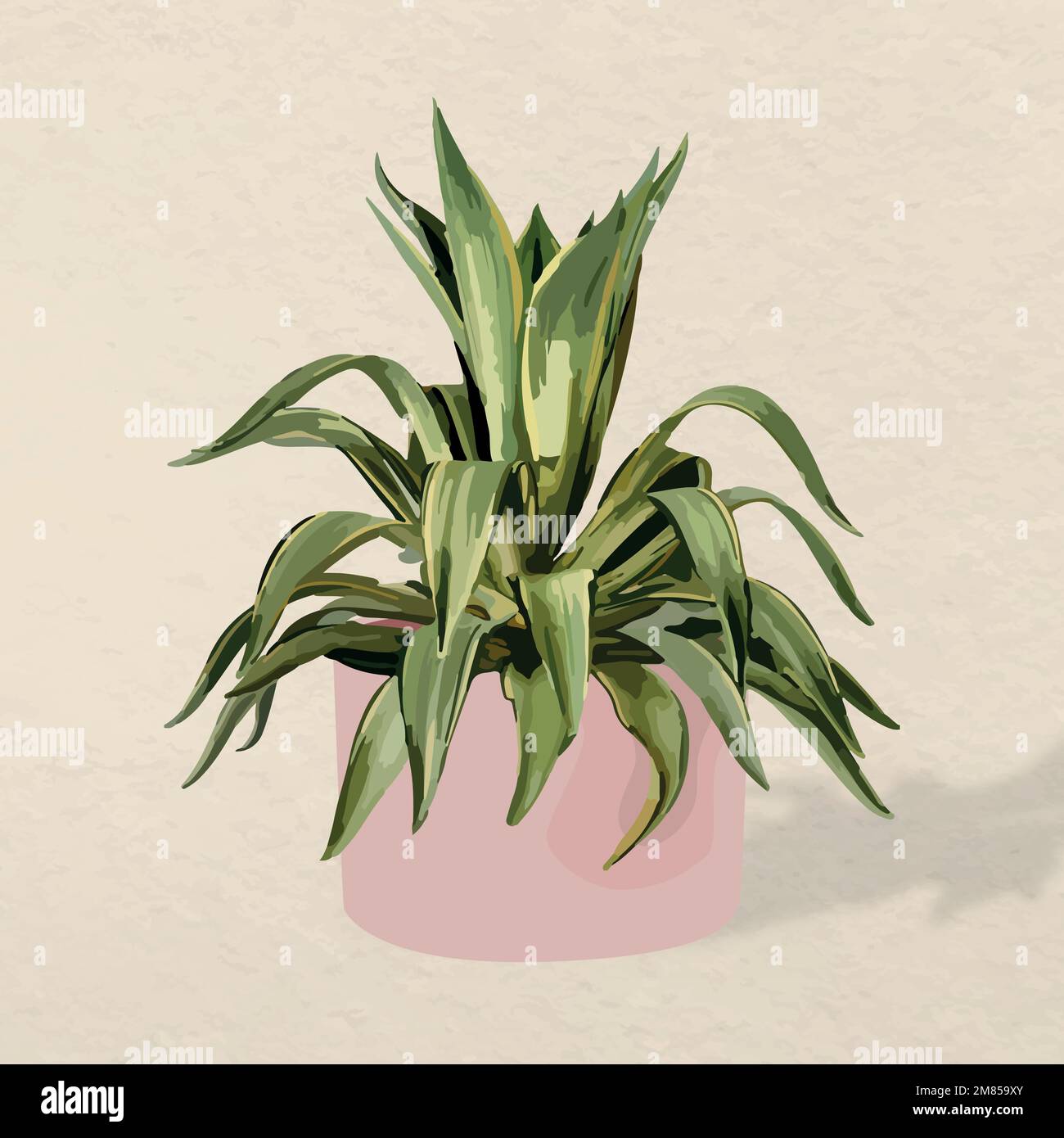 Image vectorielle de plante, illustration Agave Illustration de Vecteur