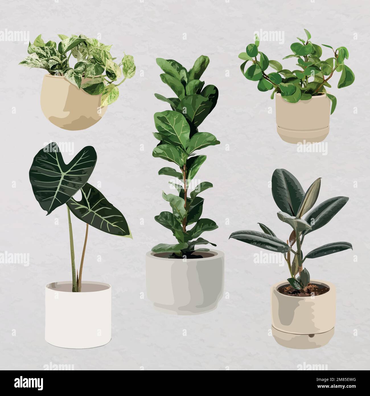 Art vectoriel de plantes, ensemble de plantes dans des pots de fleurs Illustration de Vecteur