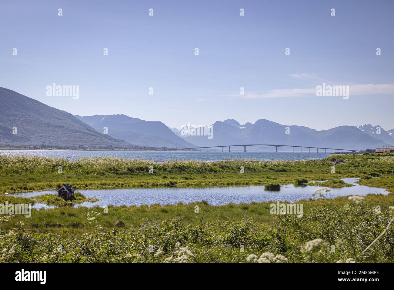 Maison de canard sur le lac par le pont de Sortland, Vesteralen, Nordland, Norvège Banque D'Images