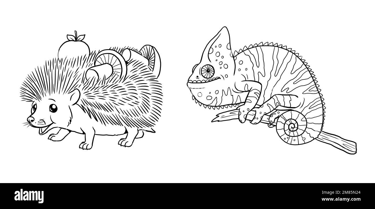 Mignon hérisson et caméléon à colorer. Modèle pour un livre de coloriage avec des animaux amusants. Modèle de coloriage pour enfants. Banque D'Images