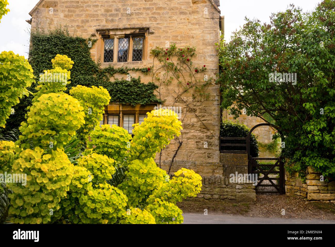 Fenêtres à meneaux et à meneaux dans le village de Stanton, en Angleterre. Banque D'Images