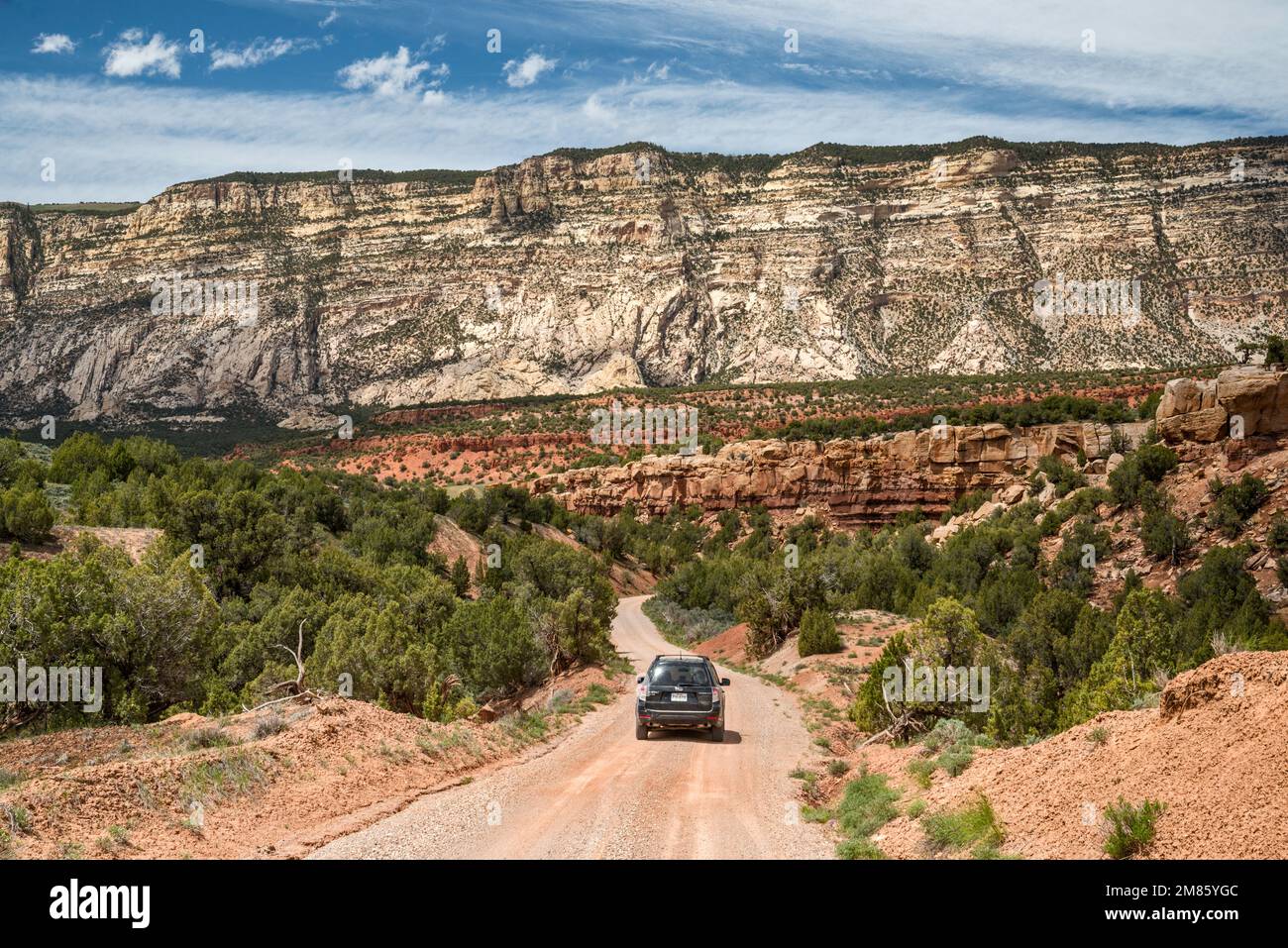 Falaises du plateau de Yampa, forêt de genévriers de Pinyon, vue depuis Echo Park Road, monument national de Dinosaur, Colorado, États-Unis Banque D'Images