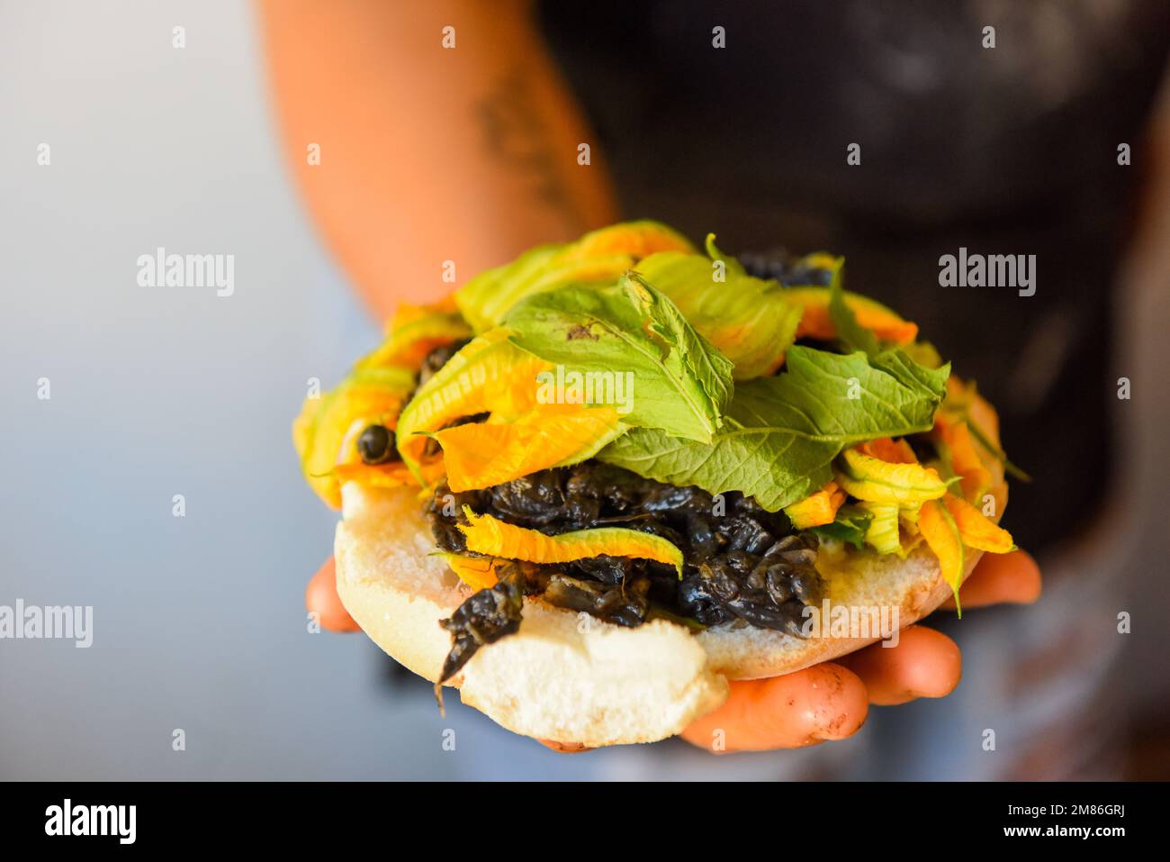 Sandwich mexicain à la torta avec des fleurs de citrouille, Oaxaca Mexique Banque D'Images