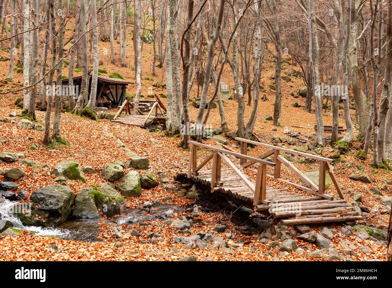 Aire de pique-nique vide dans la montagne Vitosha près de Sofia, Bulgarie Banque D'Images