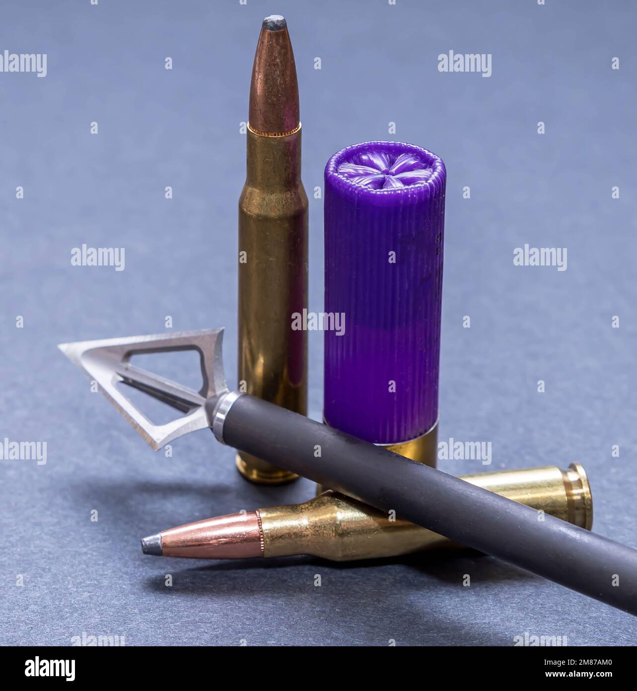 12 Pointes De Flèche Traditionnelles à Large Tête, Vissées, 2 Lames, Avec Rainure De Sang - 150 Grains Pour Chasse à L'arc (compound, Crossbow, Longbow, Recurve)