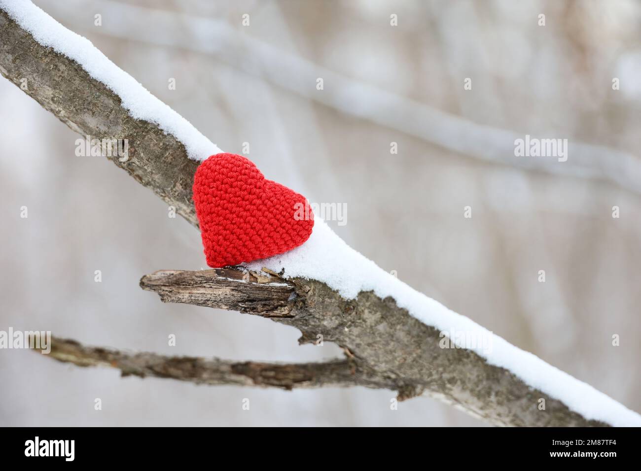 Coeur de Valentines sur branche d'arbre couverte de neige en forêt d'hiver. Tricoté rouge symbole de l'amour, concept de la fête du nouvel an ou de la Saint Valentin Banque D'Images