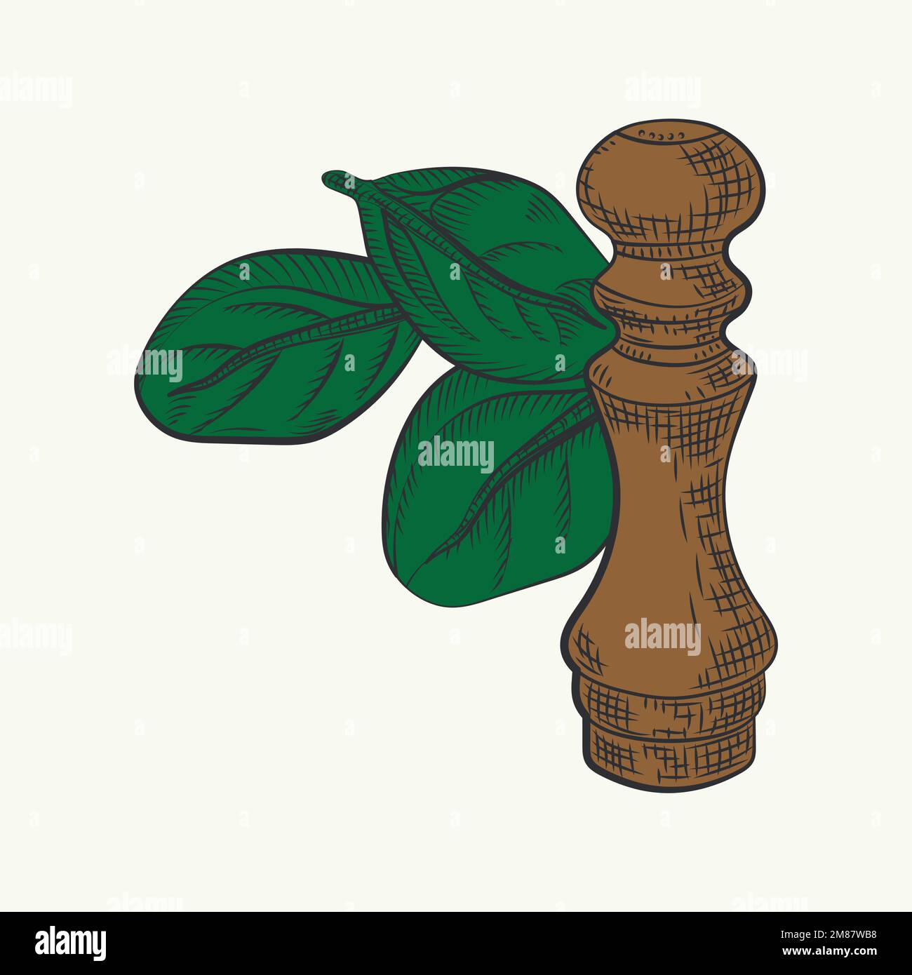 Illustration vectorielle dessinée à la main - vecteur pot de sel. Plante de fleur avec des feuilles Illustration de Vecteur