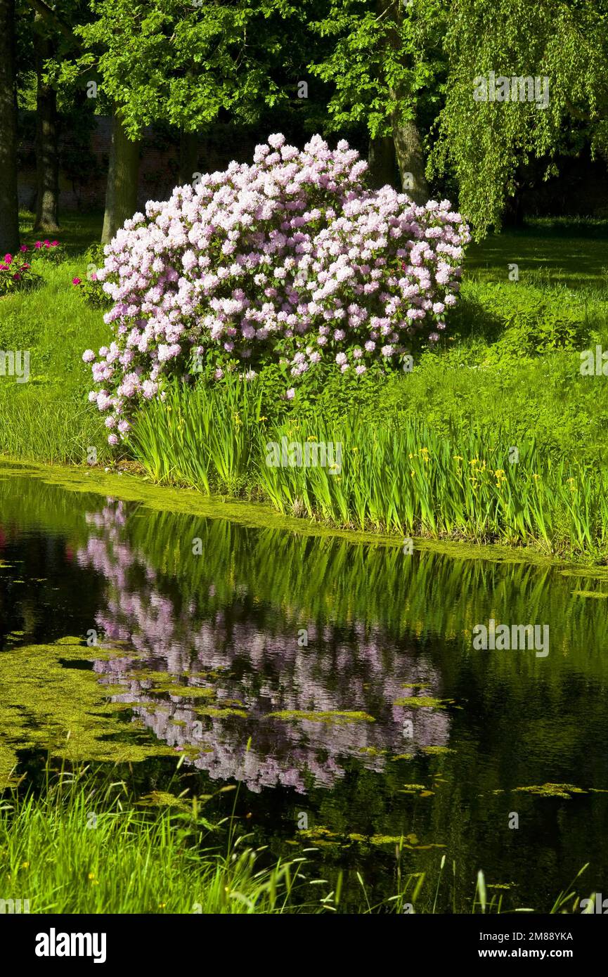 Parc du château de Luetsburg, Frise orientale, comté d'Aurich, Allemagne Banque D'Images