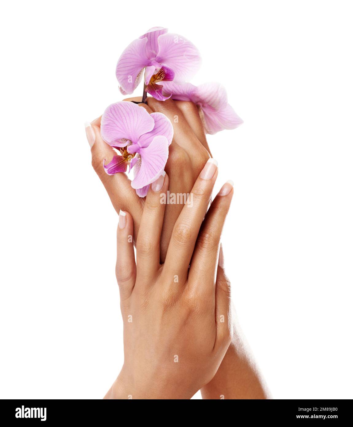 Manucure, fleurs d'orchidées et ongles sur les mains d'une femme après un  soin spa ou salon de beauté en studio. Modèle féminin avec fleurs roses  pour fleurs Photo Stock - Alamy