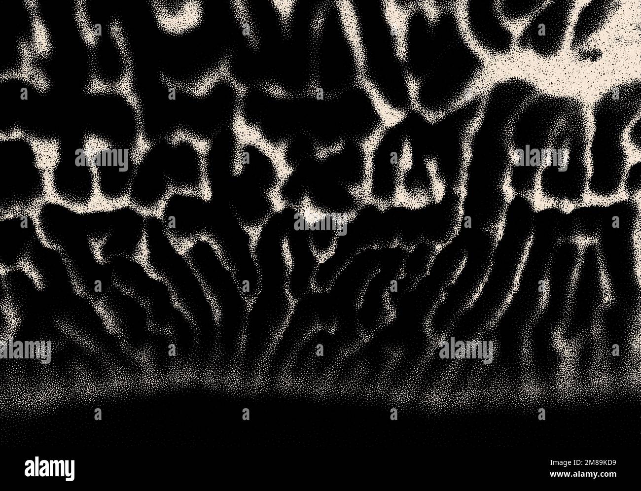 Petites plaques de champignons de style Dotwork pour cuisiner ou cuisine arrière-plan de style rétro. Affiche de la nourriture ancienne. Illustration de Vecteur