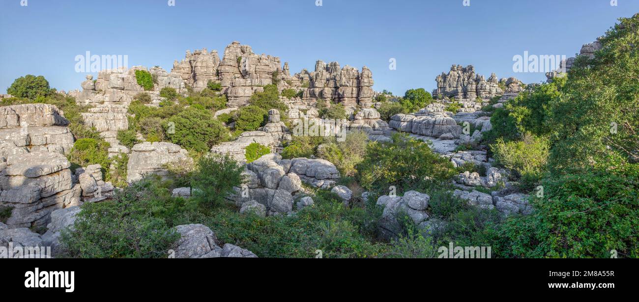 Paysages karstiques impressionnants à Torcal de Antequera, Malaga, Espagne. Vue panoramique Banque D'Images