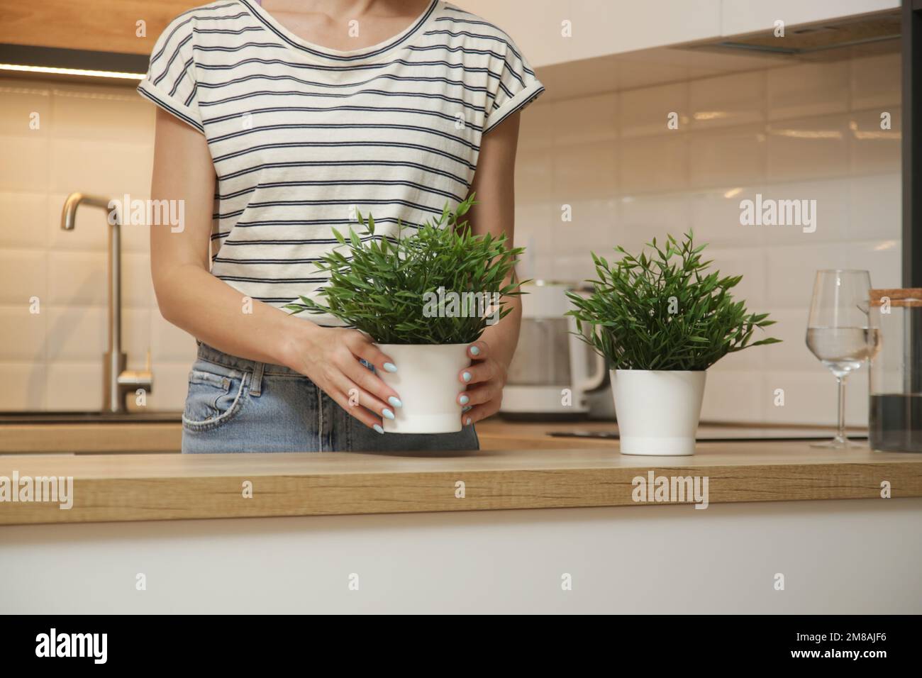Femme organisant des pots avec des herbes dans sa cuisine Banque D'Images