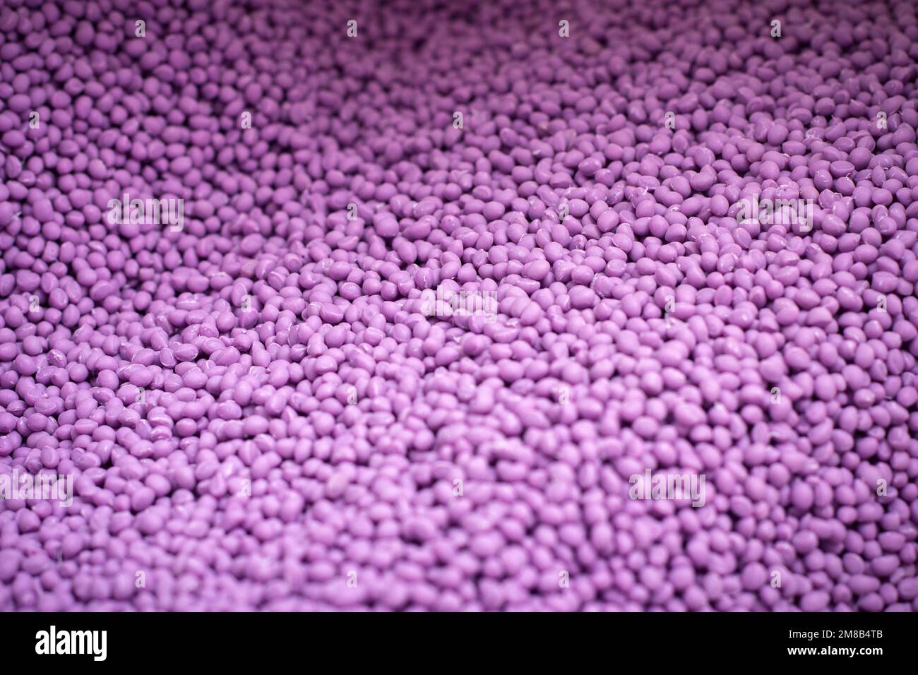 granules de plastique biodégradables texture, pastilles de colorant polymère de plastique couleur violet clair Banque D'Images