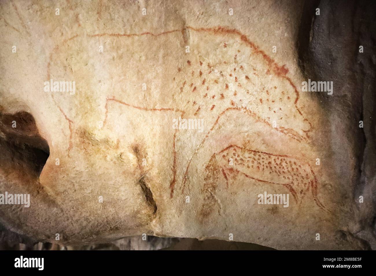 Représentation préhistorique de Hyena dans les grottes de Chauvet, France Banque D'Images