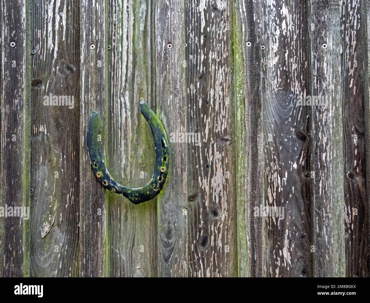 Fer à cheval comme symbole de chance sur un vieux mur en bois Banque D'Images