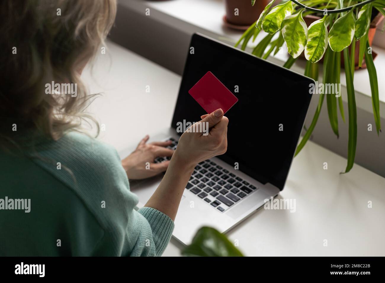Femme avec achat d'ordinateur en ligne Banque D'Images