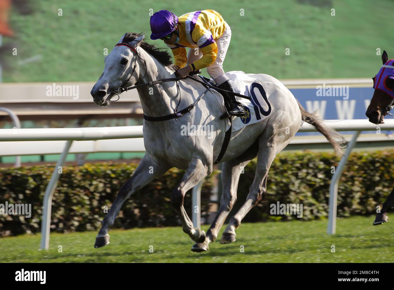 Race 7, glorieux Dragon, monté par Matthew Poon Ming-fai, a remporté le vase centenaire (groupe 3, 1800m) à Sha Tin. 31JAN21 SCMP / Kenneth Chan. Banque D'Images