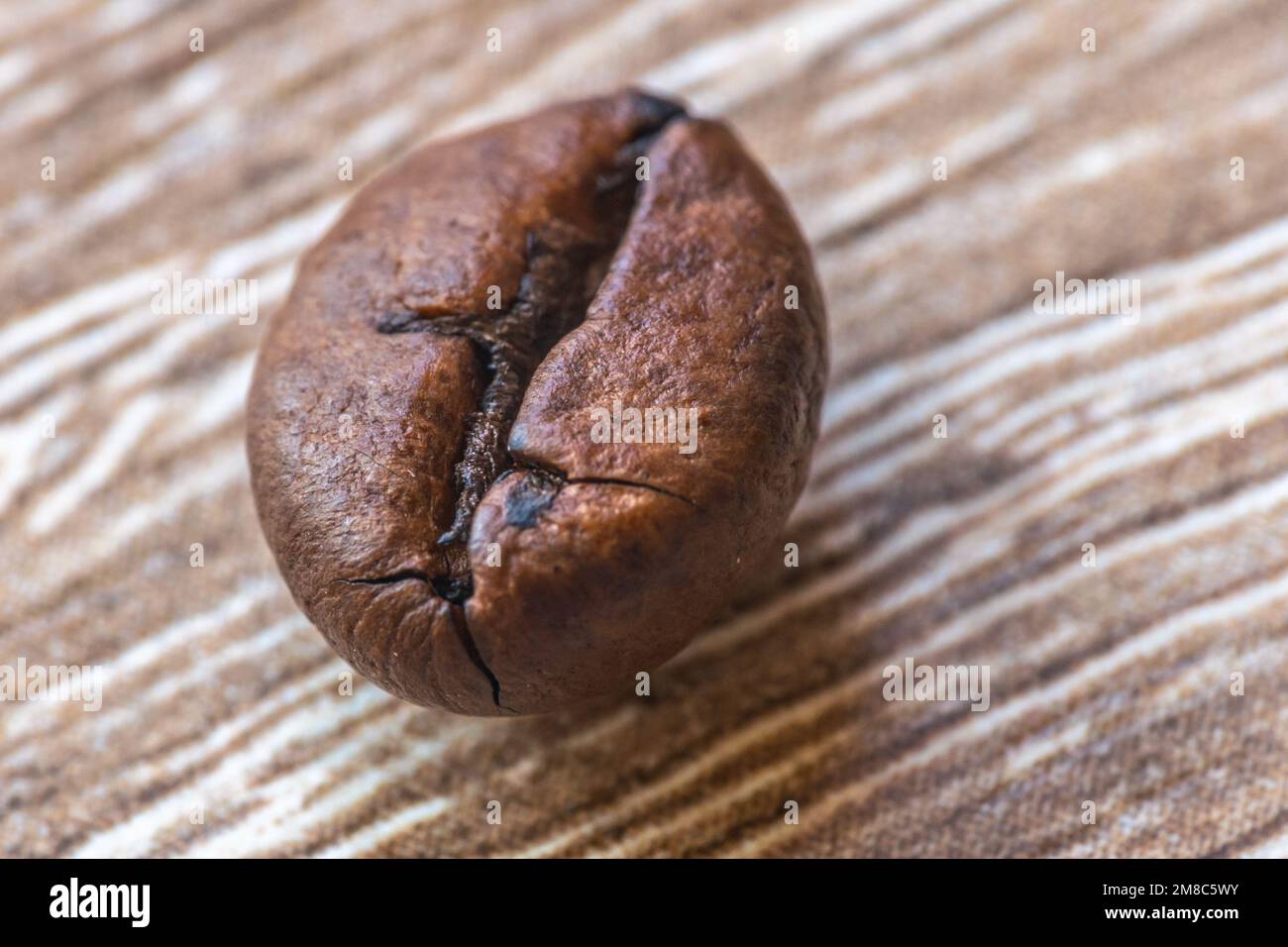 Photo macro d'un grain de café torréfié avec de petites fissures sur sa surface Banque D'Images