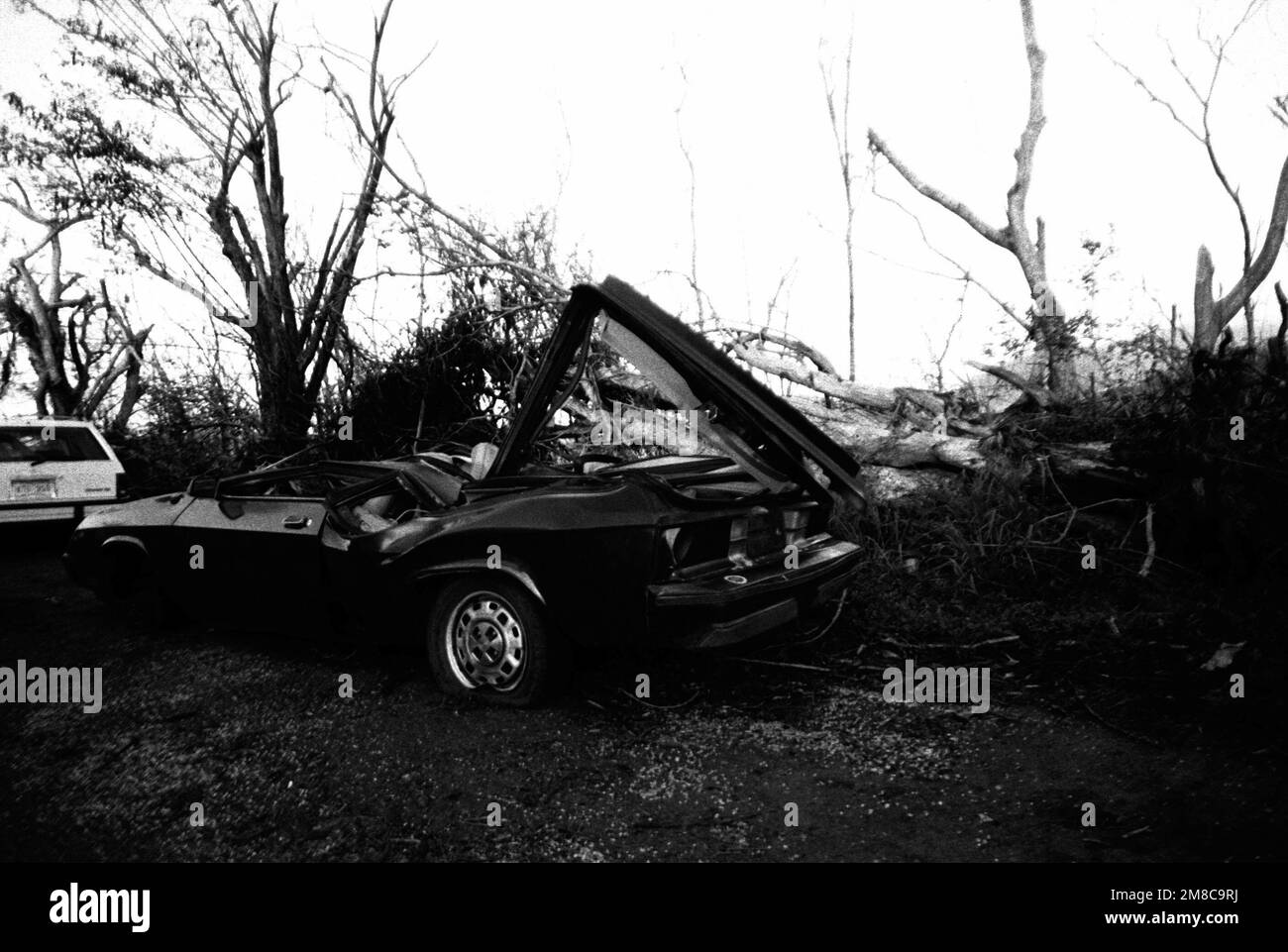 Une voiture démolie illustre la force de l'ouragan Hugo, qui a récemment traversé la région. État: Puerto Rico (PR) pays: Etats-Unis d'Amérique (USA) Banque D'Images