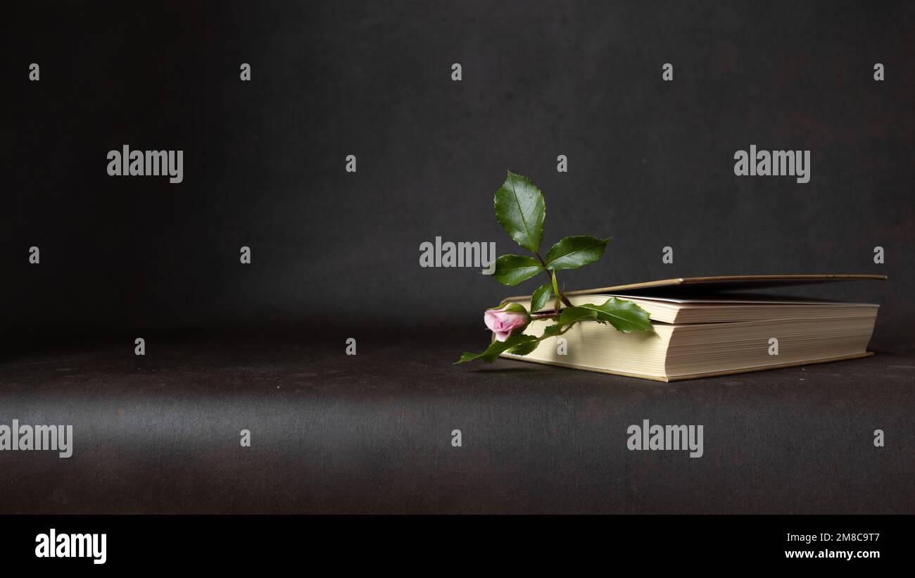 Rosebud comme signet pour un livre non lu Banque D'Images