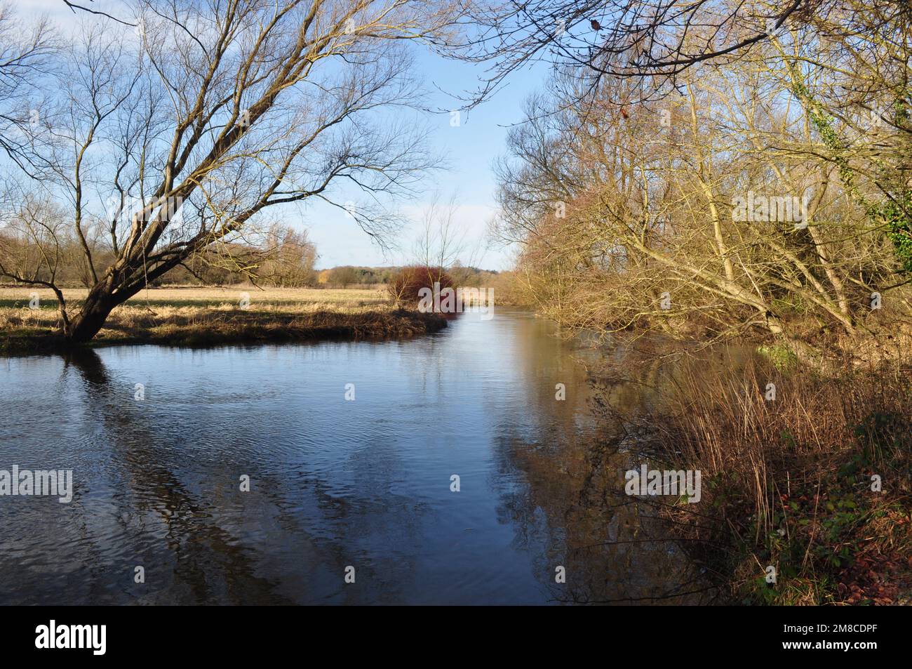 Rivière Wensum près de Drayton, à l'ouest de Norwich, Norfolk, Angleterre, Royaume-Uni. Banque D'Images