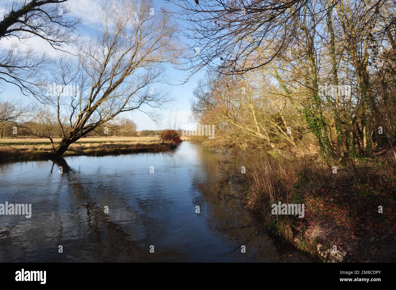 Rivière Wensum près de Drayton, à l'ouest de Norwich, Norfolk, Angleterre, Royaume-Uni. Banque D'Images