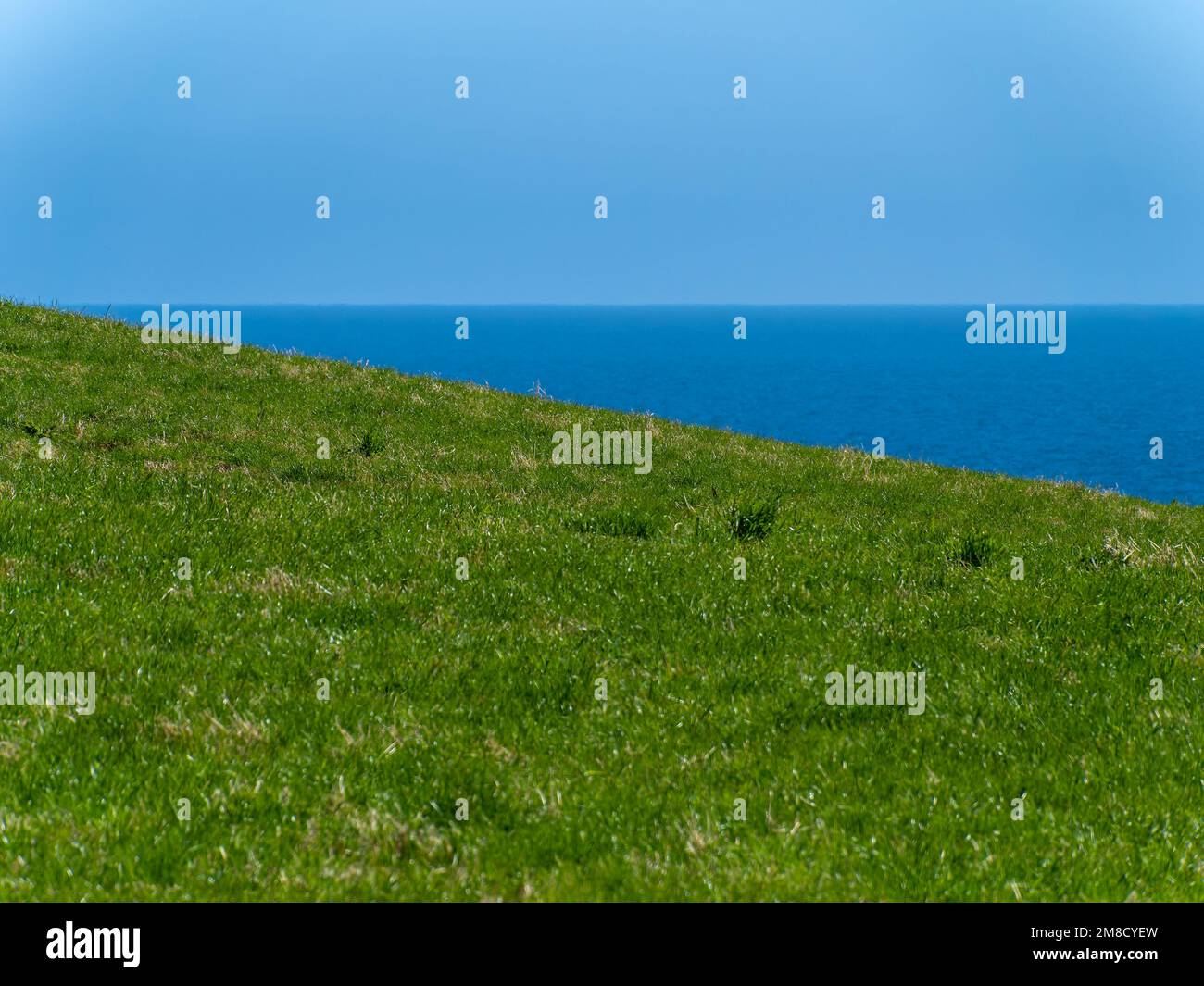 La côte verte et la mer sous le ciel bleu. Paysage minimaliste. Champ d'herbe verte près de la mer bleue sous le ciel bleu Banque D'Images