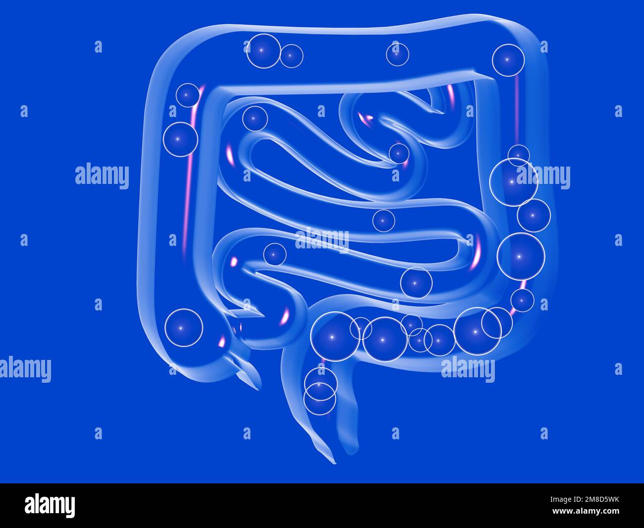 3d illustration cristalline du système digestif, avec des gaz dans le gros intestin et le petit intestin. Vue de face transparente, découpée sur fond bleu. Banque D'Images