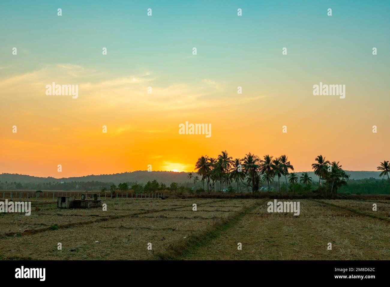 Magnifique coucher de soleil avec la lumière qui se reflète sur le champ. Banque D'Images