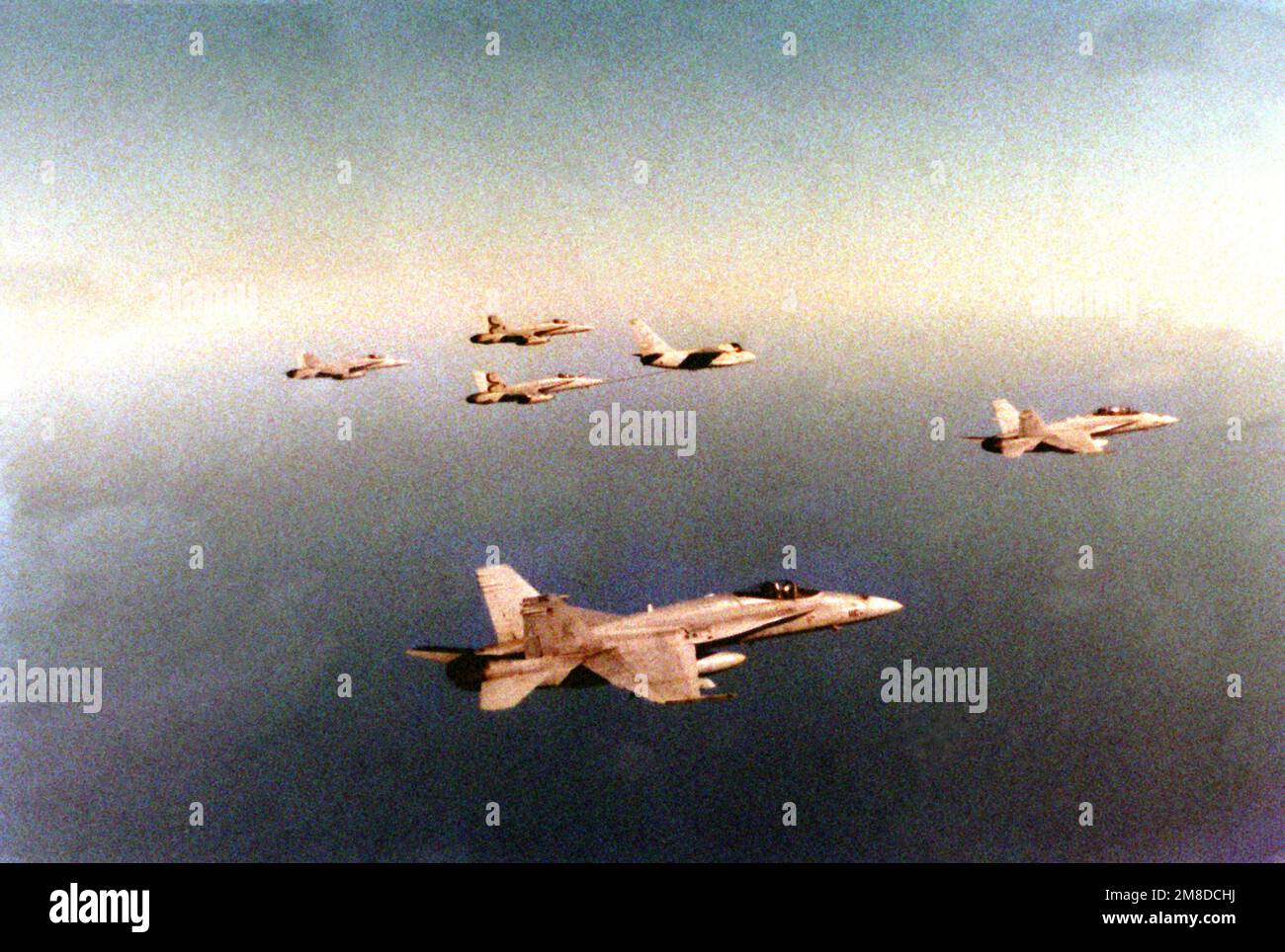 Au cours d'un vol près de la côte est de la Floride, un avion Viking S-3B livre du carburant à l'un des deux chasseurs Strike Squadron 137 (VFA-137) F/A-18A Hornet qui suivent de près derrière lui. Au premier plan et à droite se trouvent les avions F/A-18C Hornet du Squadron 106 de Strike Figher (VFA-106). À gauche se trouve un avion F/A-18B Hornet de VFA-106. Pays: Océan Atlantique (AOC) Banque D'Images