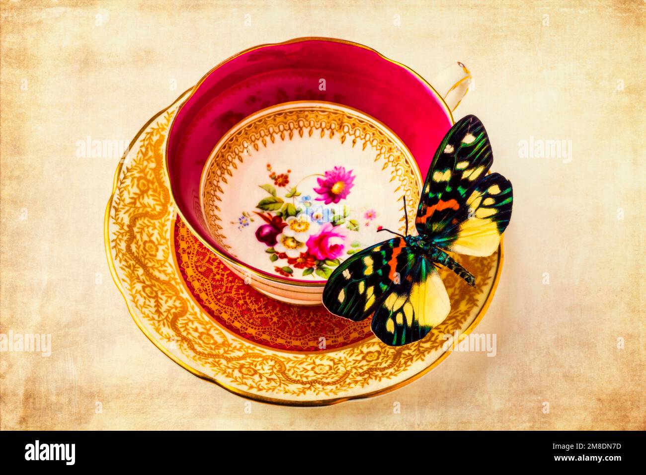 Papillon reposant sur une tasse de thé Banque D'Images