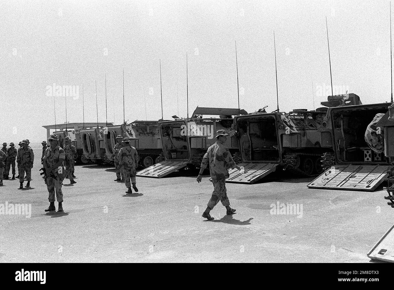 Les Marines de la Compagnie D, 3rd Bataillon de véhicules d'assaut amphibies (AAV), se rassemblent derrière une rangée d'AAVP-7A1 garées pendant l'opération Desert Shield. Objet opération/série : BOUCLIER DU DÉSERT pays : Arabie saoudite (SAU) Banque D'Images