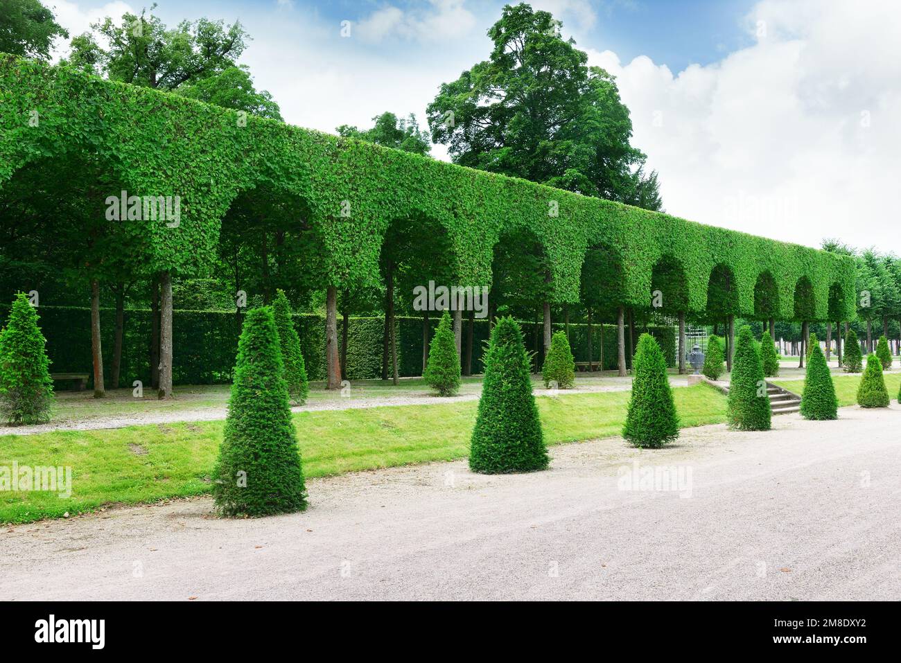 Allée magnifique dans le parc. Banque D'Images