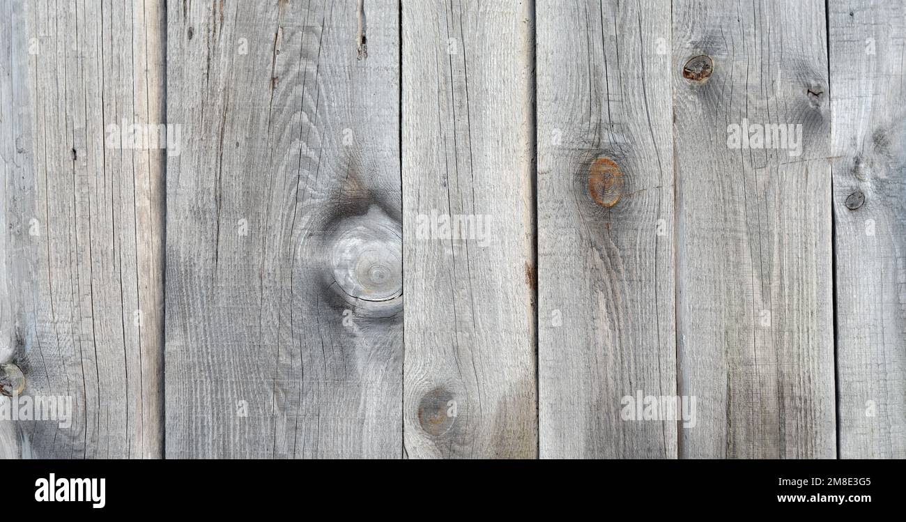Les anciennes planches en bois gris sont un arrière-plan rustique texturé avec un espace de copie. Banque D'Images