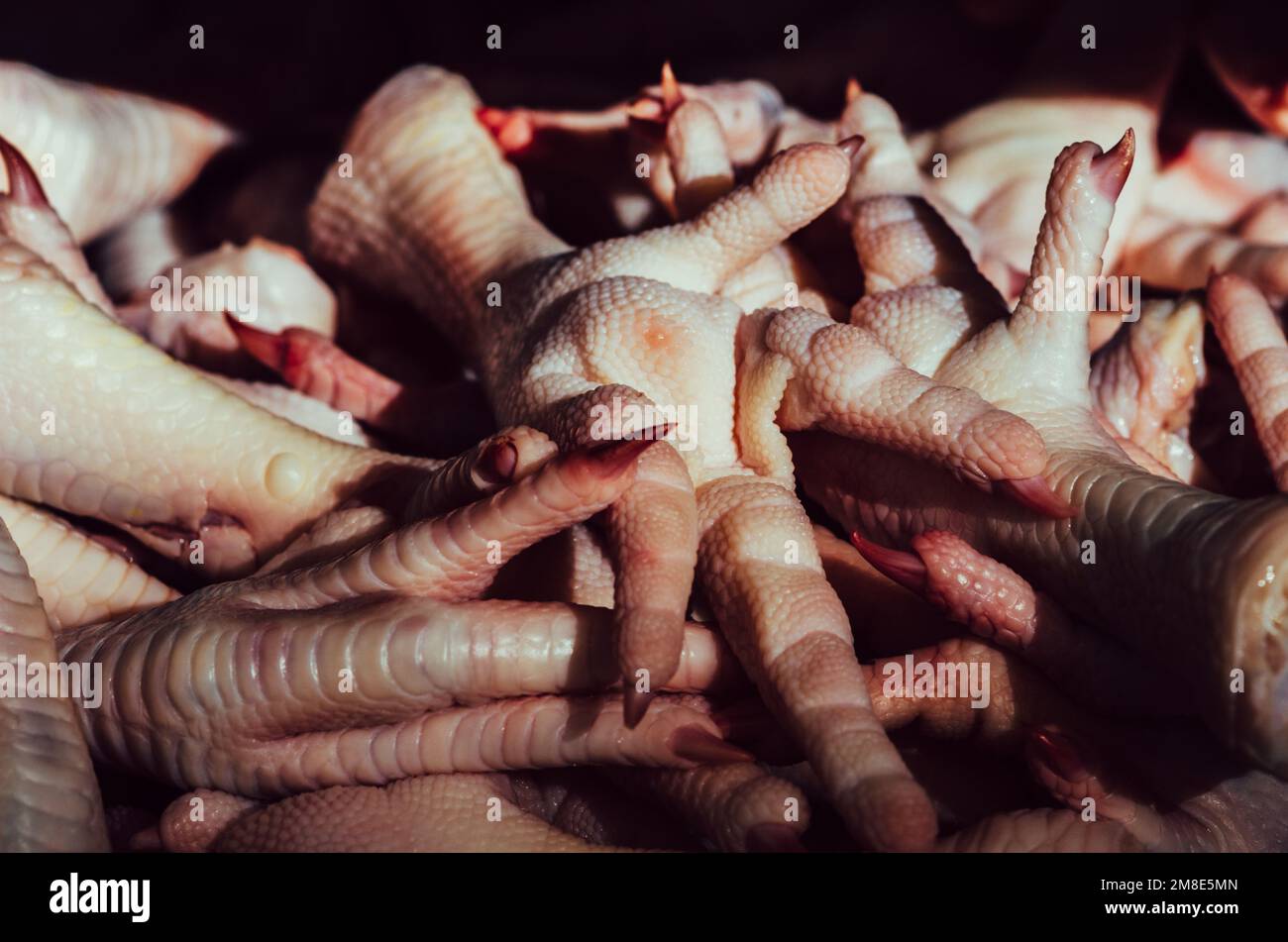 Pieds de poulet dans le marché de rue, pour faire des plats exotiques riches en collagène à Minas Gerais, Brésil - focalisation sélective délibérée Banque D'Images