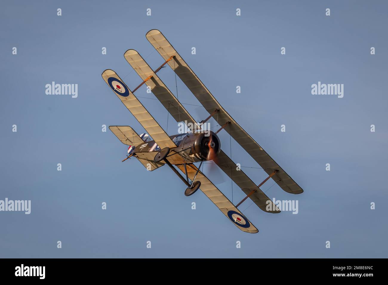 Soopwith Triplane N6290, Old Warden Airfield, Biggleswade, Bedfordshire, Royaume-Uni Banque D'Images