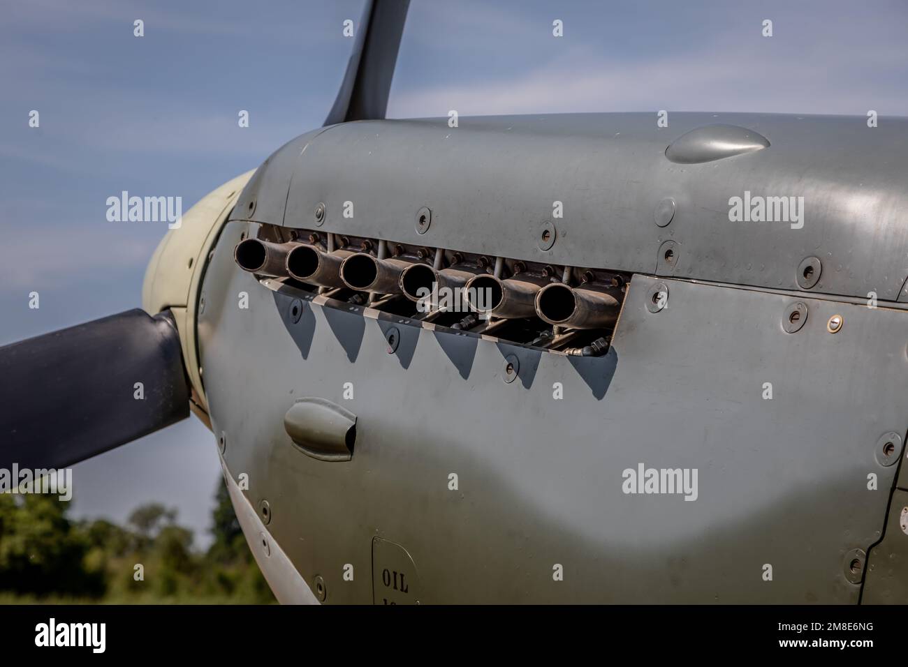 Supermarine Spitfire LF Mk-VC AR501 G-AWII DU-E, Old Warden Airfield, Biggleswade, Bedfordshire, Royaume-Uni Banque D'Images
