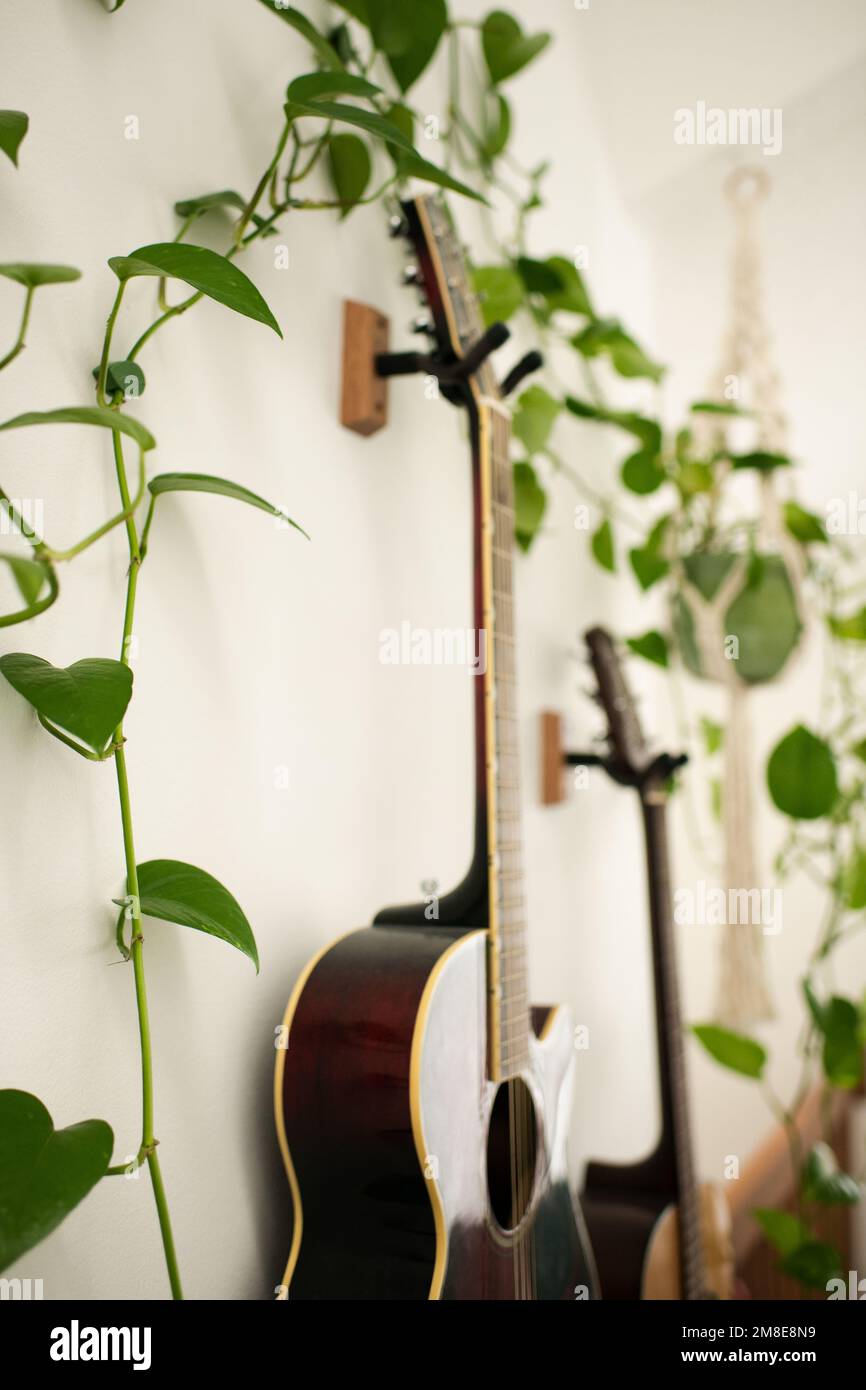 Gros plan de Guitars sur le mur avec des plantes dans un porte-plante de Macrame Banque D'Images